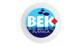 Bek Pušnica