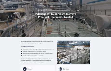 surveyz eu